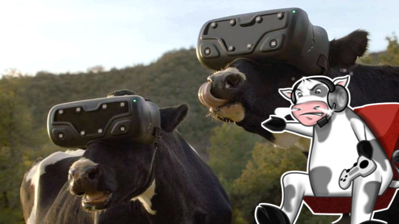 Vacas-VR-Realidad-Virtual