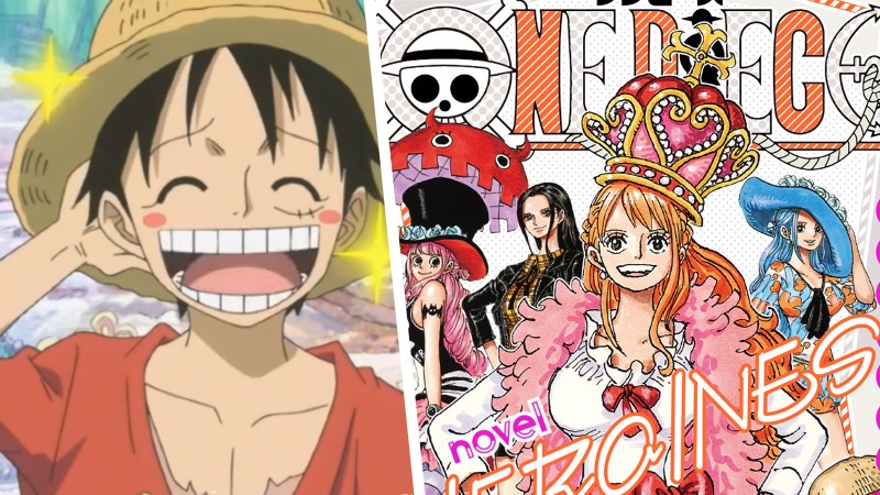 One Piece nuevo libro con las piratas