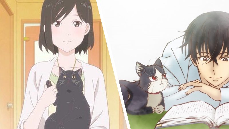 Fan De Los Gatos Estos Animes Son Todo Lo Que Necesitas Ver TierraGamer