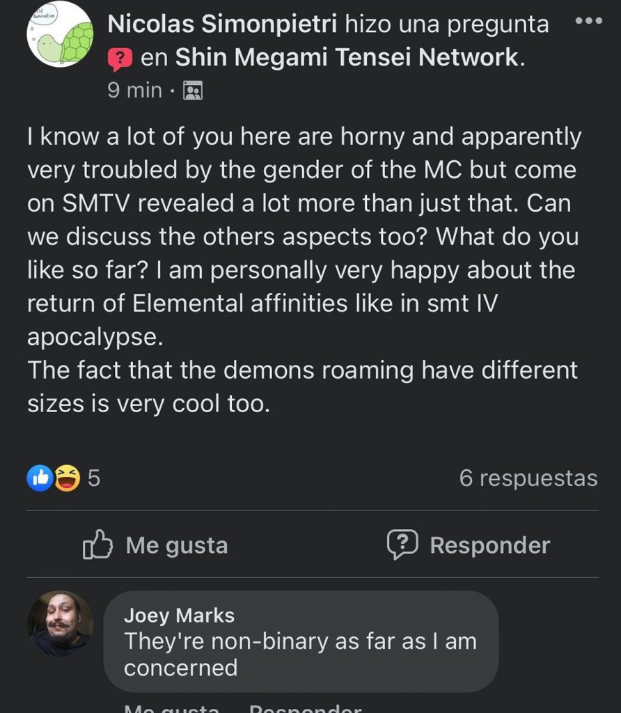 Shin Megami Tensei V protagonist gender?