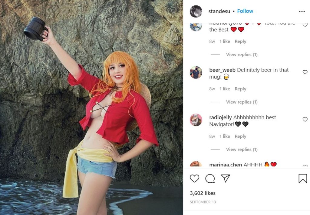 one piece cosplay nami 