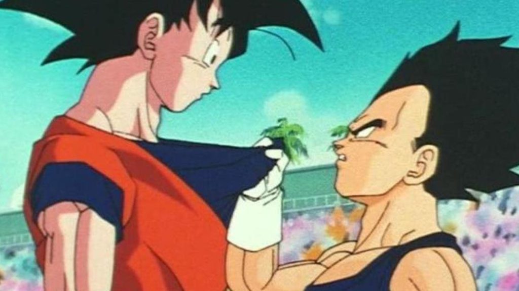 Goku and Vegeta Rivalry in Dragon Ball
