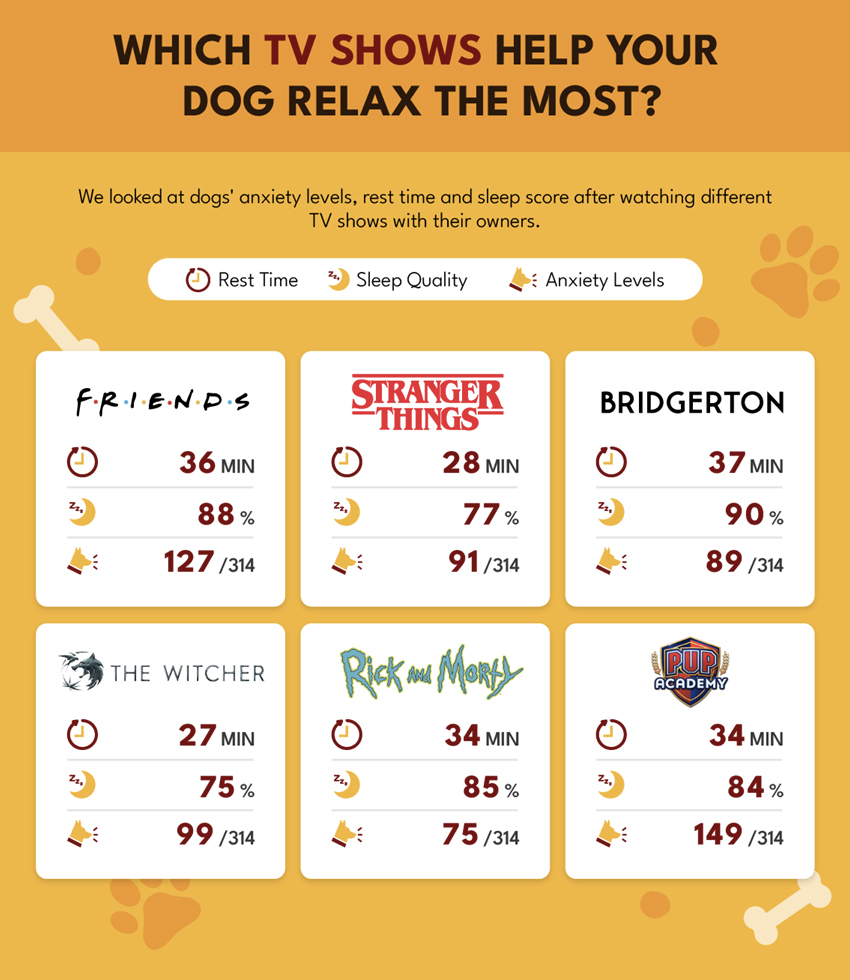 Betway Insider realizó un estudio que monitoreo a perros para saber qué tipo de programas les generan menos ansiedad y mayor descanso, entre ellos destacó Rick y Morty de buena manera.  