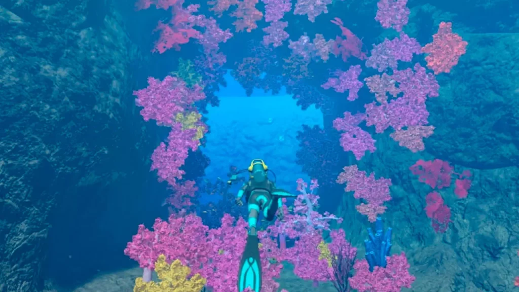 Endless Ocean Luminous - arrecife