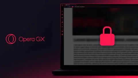 Opera GX security