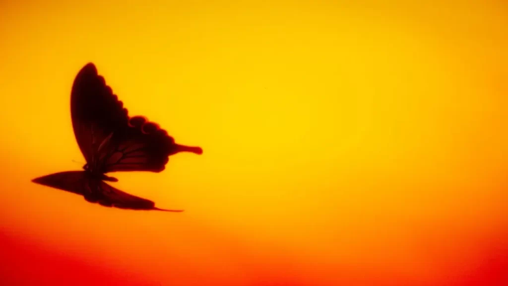 Bleach Studio Pierrot 