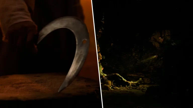 The Last of Us, Segunda temporada explicará la evolución del cordyceps