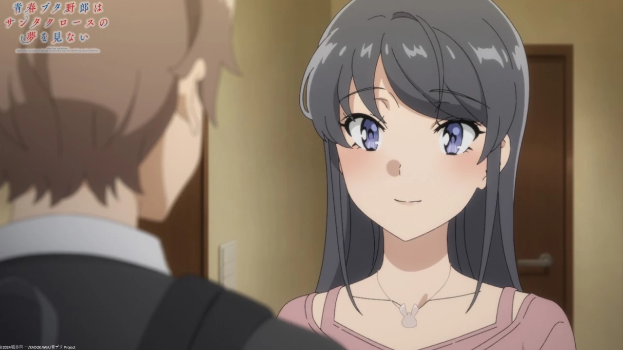 Rascal Does Not Dream of Santa Claus