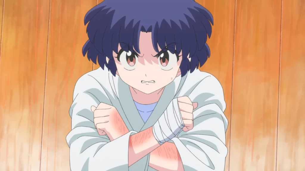 Ranma 1/2, capítulo 19 se roban el letrero del dojo Tendo: Akane está en problemas; pero Ranma se ausenta y termina en una cita con Shampoo... 