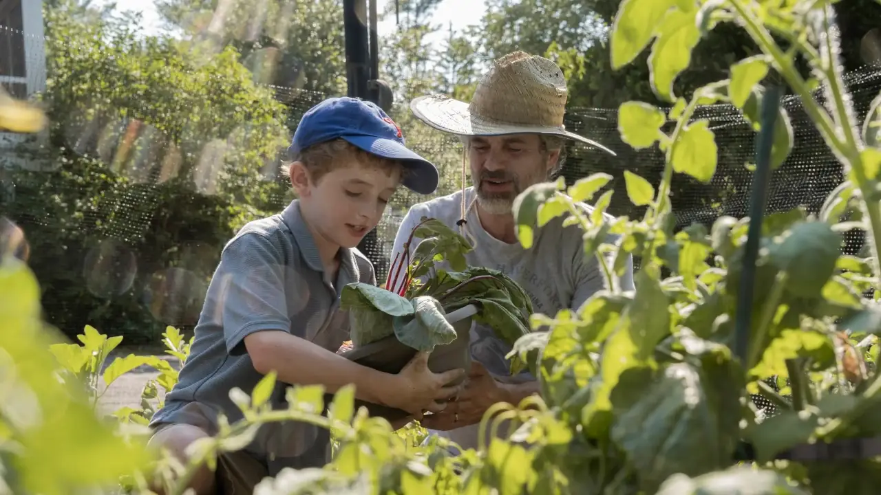 Task confirma que tendrá una segunda temporada en HBO tras su enorme éxito