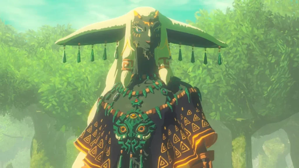 Hyrule Warriors: Age of Imprisonment, Raoru