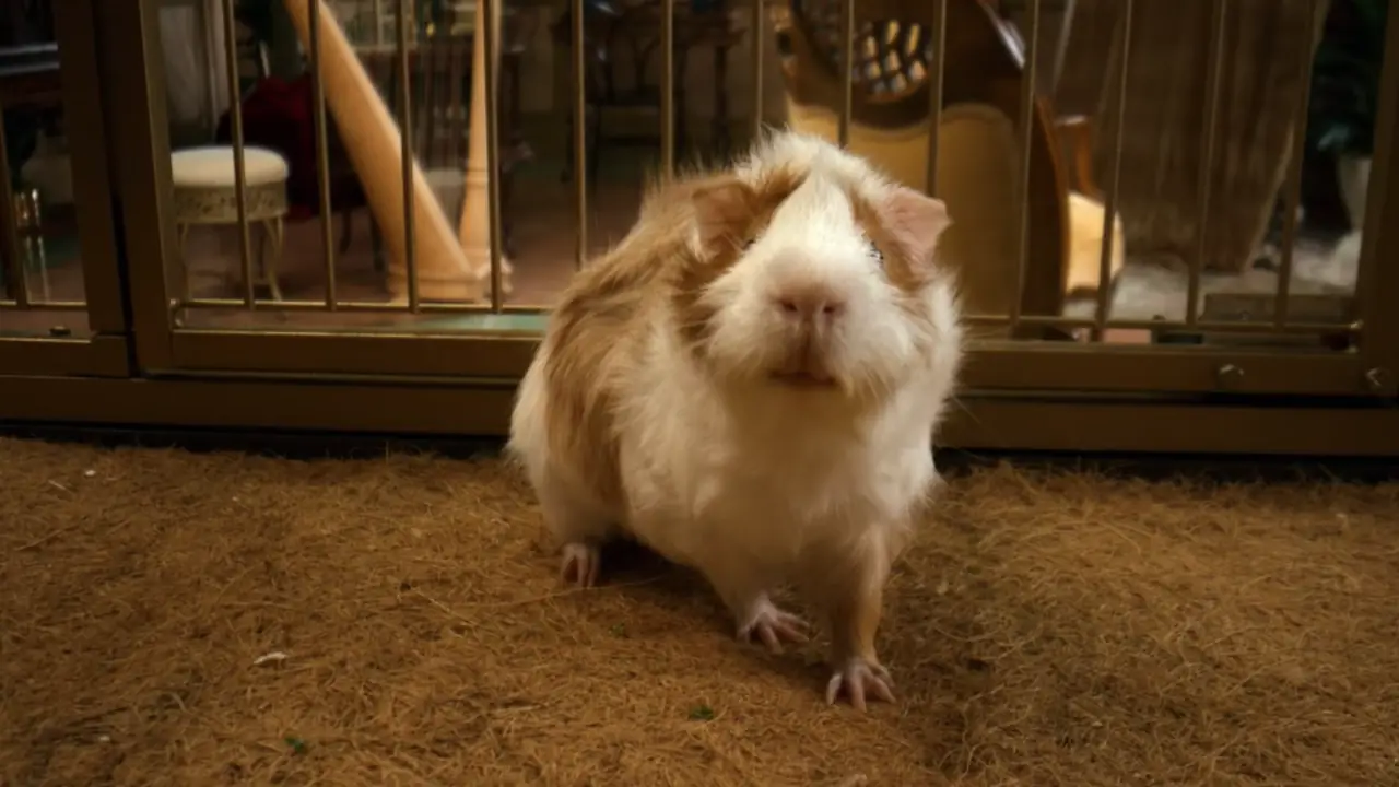 Percy Jackson y los dioses del Olimpo temporada 2, capítulo 5: a qué hora sale el nuevo episodio, cómo y dónde verlo