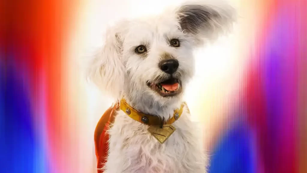 Krypto en el SuperBowl DCU