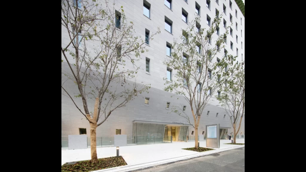 Shogakukan sigue en el ojo de la crítica, un nuevo caso se reveló. Te brindamos toda la información que debes saber para comprender el lío. 