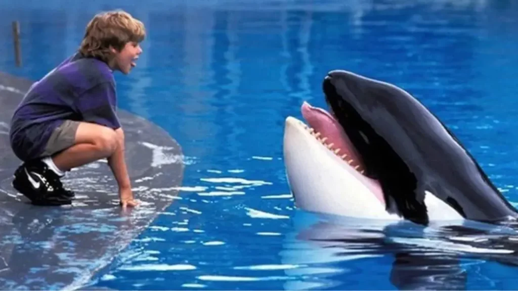 Liberen a Willy